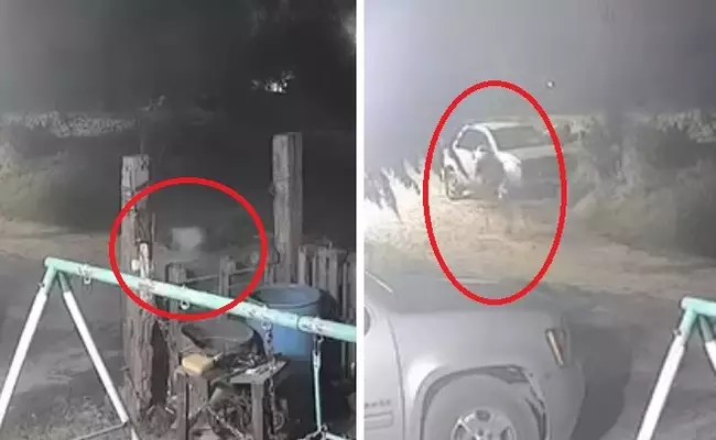 Еще одно видео с превращением собаки в человека