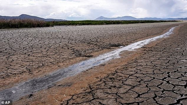 США грозит Великая засуха: К 2050 году иссякнут грунтовые воды и десятки миллионов останутся без воды 