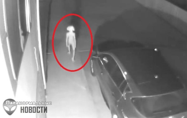 Компьютерная графика, ребенок в костюме или реальный монстр? В сети обсуждают странное видео 