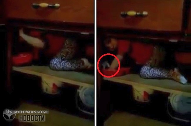 На видео засняли руку призрака в шкафу