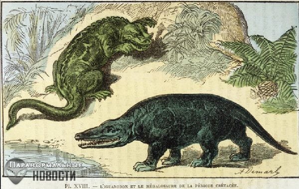 Кошмарные рисунки показывают как выглядели бы животные, если бы их рисовали на основе их скелета, как рисуют динозавров 