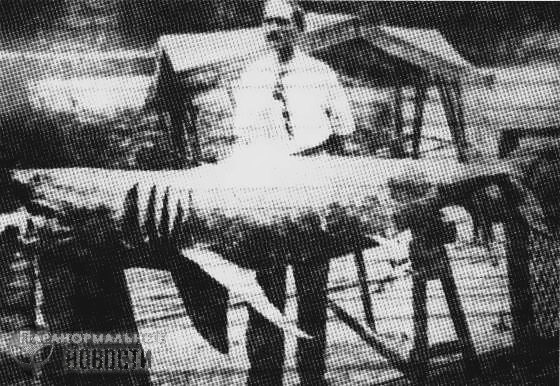 Кровавое лето 1916 или Акулья резня в Нью