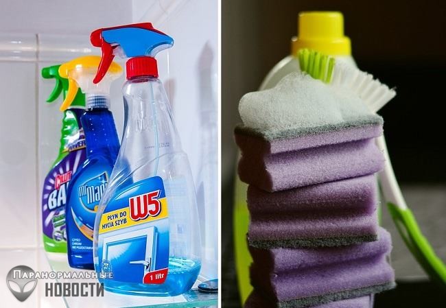 Шведские дети стали глупее из