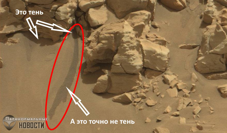 На фото Марса нашли жидкую воду, но НАСА об этом молчит 