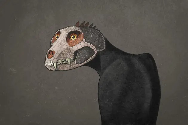 Кошмарные рисунки показывают как выглядели бы животные, если бы их рисовали на основе их скелета, как рисуют динозавров 