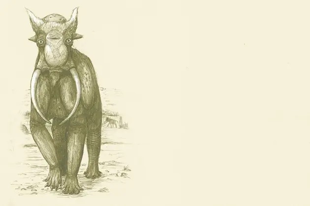 Кошмарные рисунки показывают как выглядели бы животные, если бы их рисовали на основе их скелета, как рисуют динозавров 