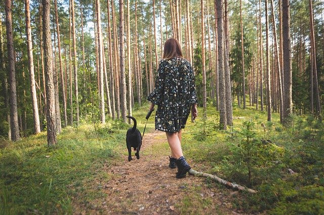 «В моем лесу живет что