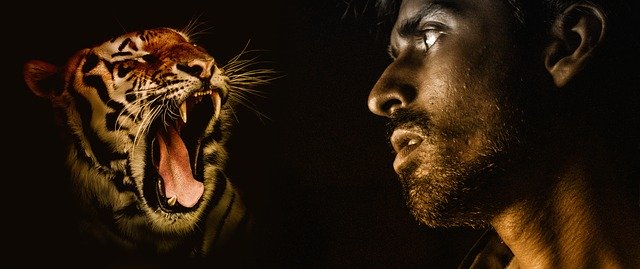 Откровения мужчины, который считает себя тигром