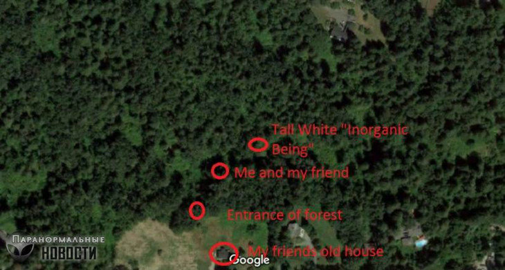 Парень уверен, что встретил в канадских лесах существо из мифов индейцев 