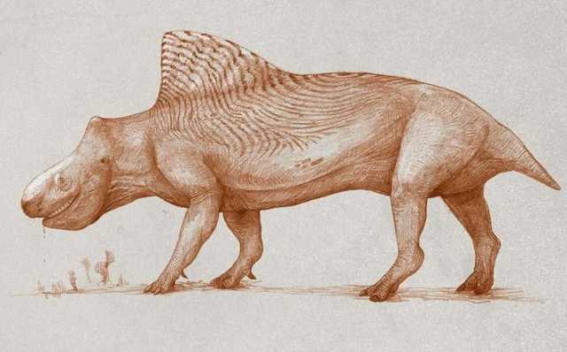 Кошмарные рисунки показывают как выглядели бы животные, если бы их рисовали на основе их скелета, как рисуют динозавров 