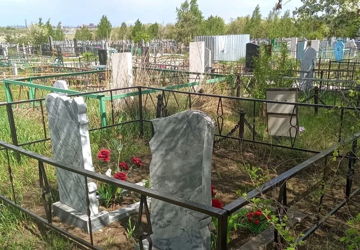 Увидели кота на кладбище 
