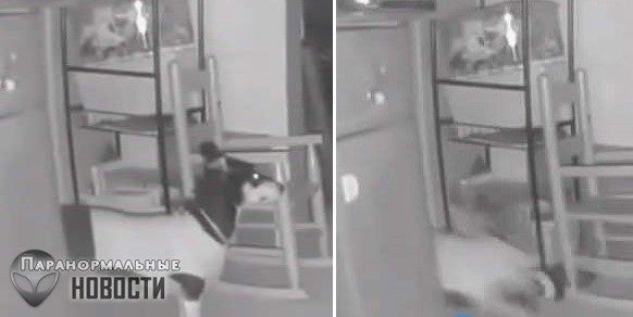 Нечто утащило собаку за дверь