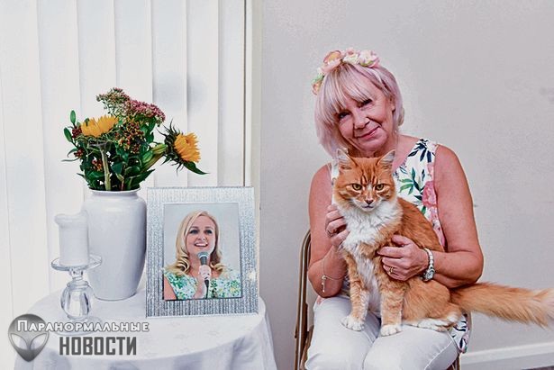 Странный кот с «шестым чувством» любит посещать похороны