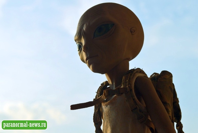 Любопытная теория о том, почему у инопланетян большие головы 