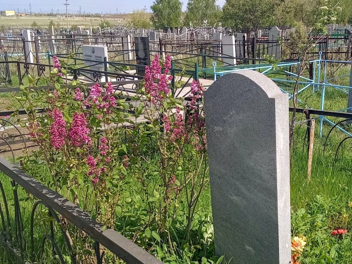 Увидели кота на кладбище 