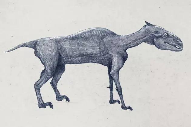 Кошмарные рисунки показывают как выглядели бы животные, если бы их рисовали на основе их скелета, как рисуют динозавров 