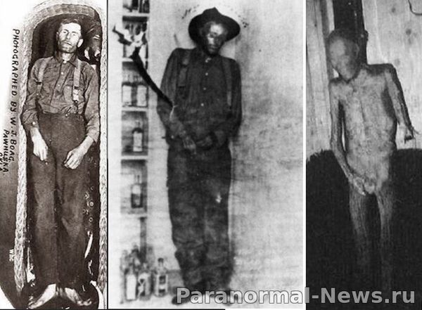 Удивительная прижизненная и посмертная история грабителя