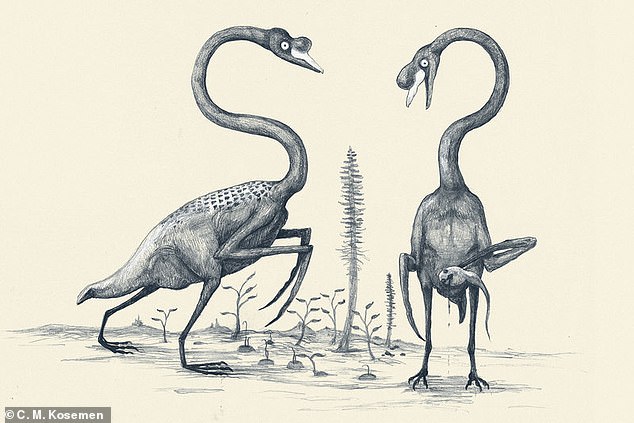 Кошмарные рисунки показывают как выглядели бы животные, если бы их рисовали на основе их скелета, как рисуют динозавров 