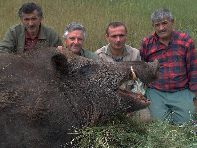 Криптиды с пятачком: Странные существа, похожие на свиней