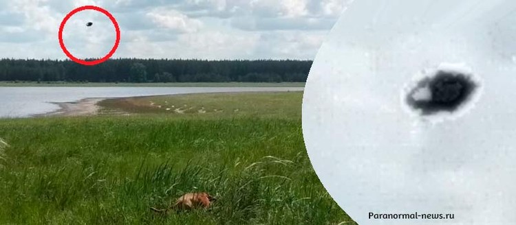 Жук или НЛО? История от нашего читателя
