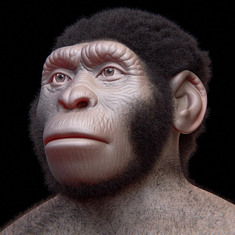 Узники недоступной пещеры: Загадка останков древнего человека Homo naledi